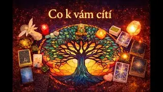 🤔💝❓💑 Co k vám cítí? 💑❓💝🤔