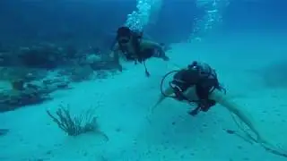 BUCEO SAN ANDRES 2017