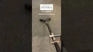 Commercial Carpet Cleaning in NYC | Professional Office Carpet Care by Agara Rug Cleaning
