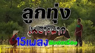 ลูกทุ่งเพราะมาก คัดมาพิเศษ : 15เพลงฟังต่อเนื่อง