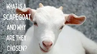 What is a Scapegoat and Why are they Chosen?