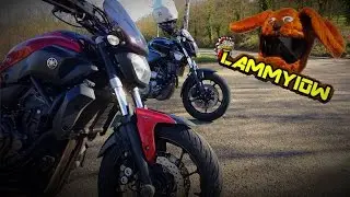 Tasting the MT07! A Duel Vlog of the MT03 vs MT07