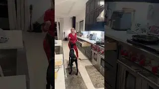 Петь &laquo;cooking with kyah&raquo; перед моим женихом&hellip; ПЛОХАЯ ИДЕЯ 😅