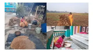 কনকনে এই ঠান্ডার মধ্যে ভোর বেলা থেকে ঘুম থেকে উঠে ধান সিদ্ধ করা শুকনো করা কাজের শেষ নেই।।