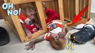 The shoe rack suddenly collapsed, putting Lucky and Sunny in danger!