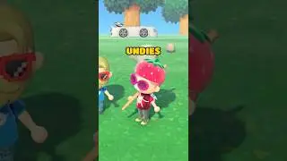 @ValleySpot fixes Animal Crossing