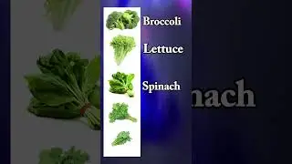 Vegetables vocabulary ||broccoli, lettuce, spinach, coriander, kale|| #english #vegetables #ad