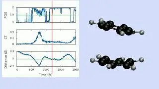 Dynamics of benzene dimer