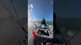 Fish Pro Sport Riding