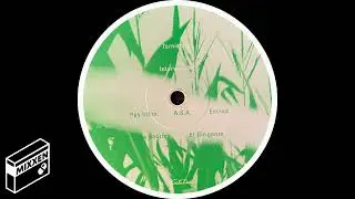 Tornische - Убери свои руки