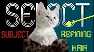 You Won't Believe How FAST You Can Select Hairy Subjects in Photoshop