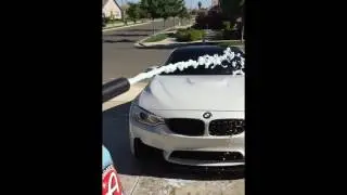 Adams Polishes Foam Gun @fredthef82