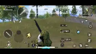 Bug on aiming