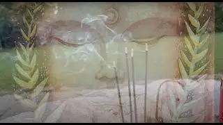 Renée Sunbird - Namo Amitābha
