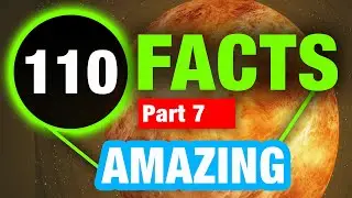 110 Random Facts That Are Perfect to Share Anytime!