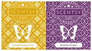 Tester Tuesday #61 Caramel Sugar Cone & Brazilian Grapes (Scentsy Reviews)