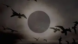 Ahimsa - Eclipse