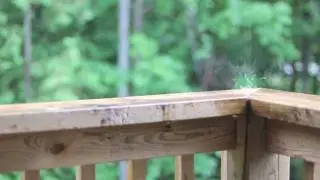 Canon t1i 500D Video DSLR Test - RAIN w. 50mm lens