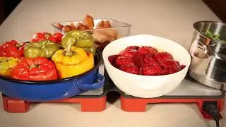 HotMat 2DISH CONNECT