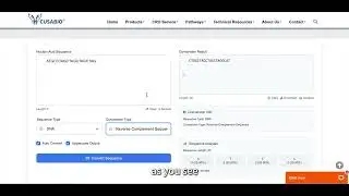 How to Use CUSABIO's Nucleotide Reverse Complement Tool?