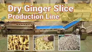Dehydrated Ginger Slice Production Line-How to make Dehydated Ginger Slice