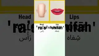 Names of sense organs in Arabic language. #arabiclearning
