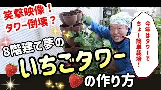 【笑撃映像！タワー倒壊？】いちごタワーの作り方　～狭い庭で家庭菜園～