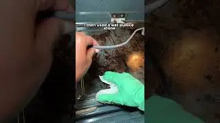 Clean Your Oven in 10 Minutes &ndash; No Chemicals 🔥