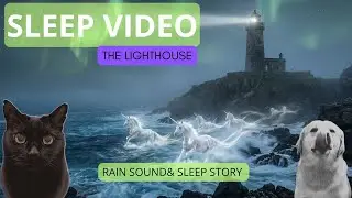 3-Hour Sleep Story 🌊 