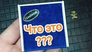 Непонятно что нашёл на поисках дорогих предметов 