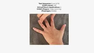 SIPT - Finger Identification Protocol