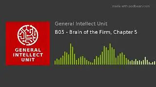 B05 - Brain of the Firm, Chapter 5