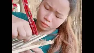 Pregnant Mother: Harvest medicinal plants, dry them and store them for postpartum use.
