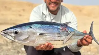 Insane Tuna Strike Without Moving the Lure!