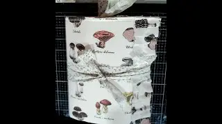 All About Mushrooms- File Folder Journal