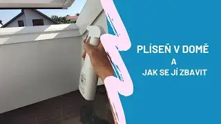 Jak na plísně v domácnosti | Plíseň v domě