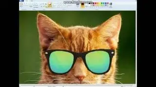 How to correctly photoshop using ms paint (Legit tutorial)