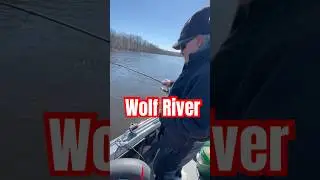 Floating down the Wolf River‼️🦆🎣 #fishing #walleye #cootslures #letsgofishing #outdoors #river