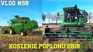 DRUGIE ŻNIWA W TYM ROKU ! ☆ Koszenie Poplonu ☆ [Vlog #58] z Sąsiadem