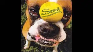 Snot - The Box