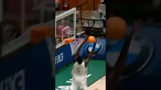 SERIGNE SARR bajando la bola desde el CIELO ✈️ #ligau #u22 #alleyoop