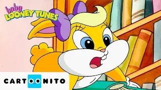 Once Upon a Fly ✈️ 📖 | Baby Looney Tunes | Cartoonito