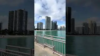 Newport Fishing Pier #miami #viral #travel