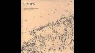 Spurv - Store &oslash;yne, men uten gevir