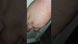 failed yoink on a Texas banded gecko
