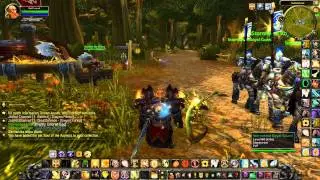 WoW Pet - Soul of the Aspects