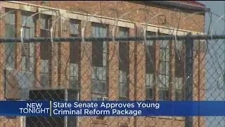 State Senate Approves Young Criminal Reform Package
