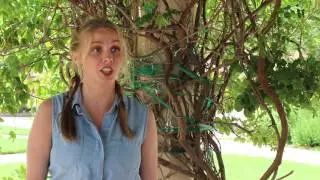 Get a Distance Master's in Ag Com at TTU