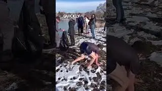 Мужчина спас собаку из замерзающего озера ❤️