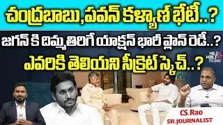 Chandrababu, Pawan Kalyan action big plan ready..! | TDP | Janasena | CM Jagan | Wild Wolf Digital